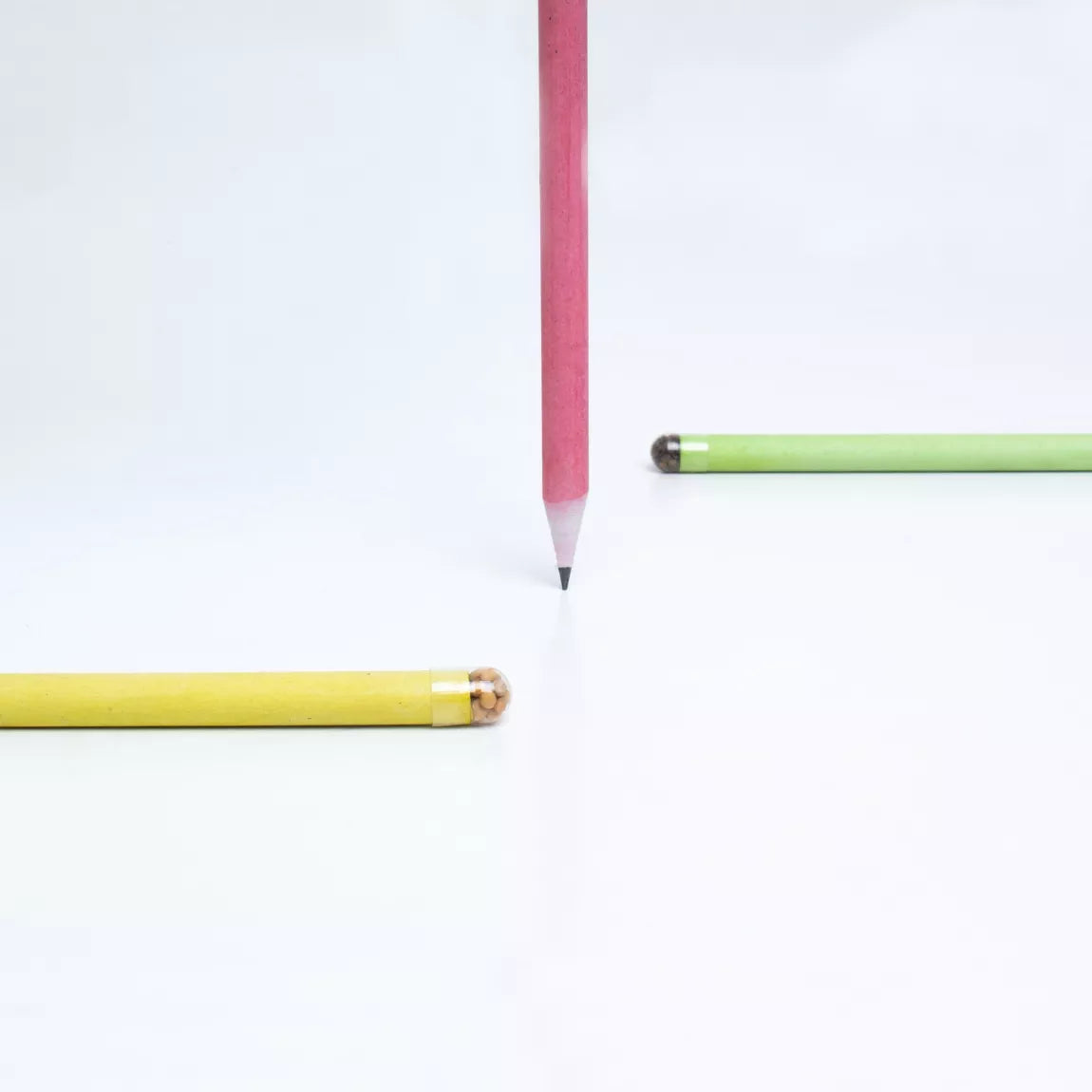 Plantable Pencils - Mostaza (Mustard)