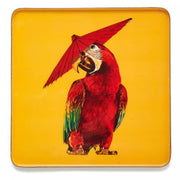 Gangzai - Square Tray - Parrot