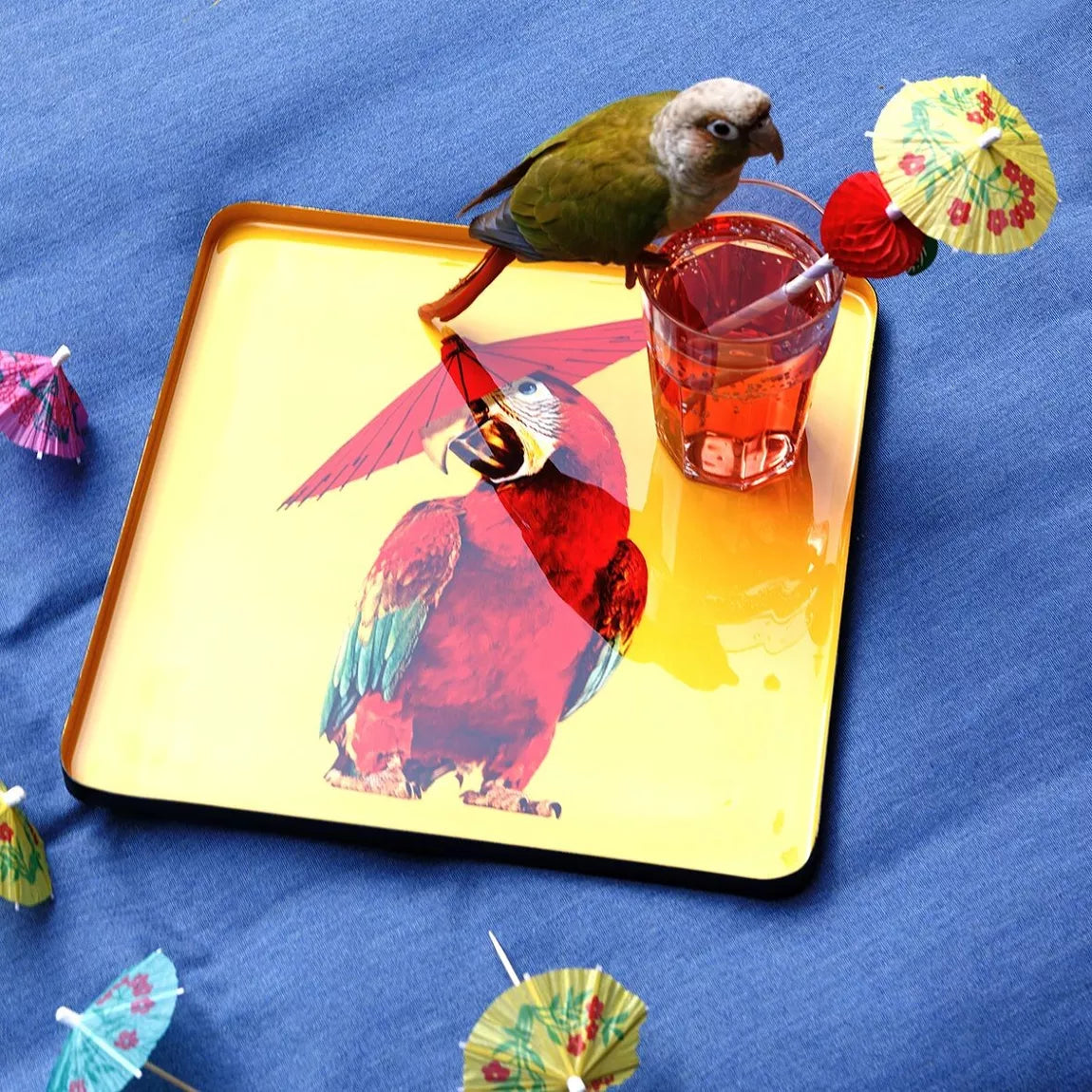 Gangzai - Square Tray - Parrot