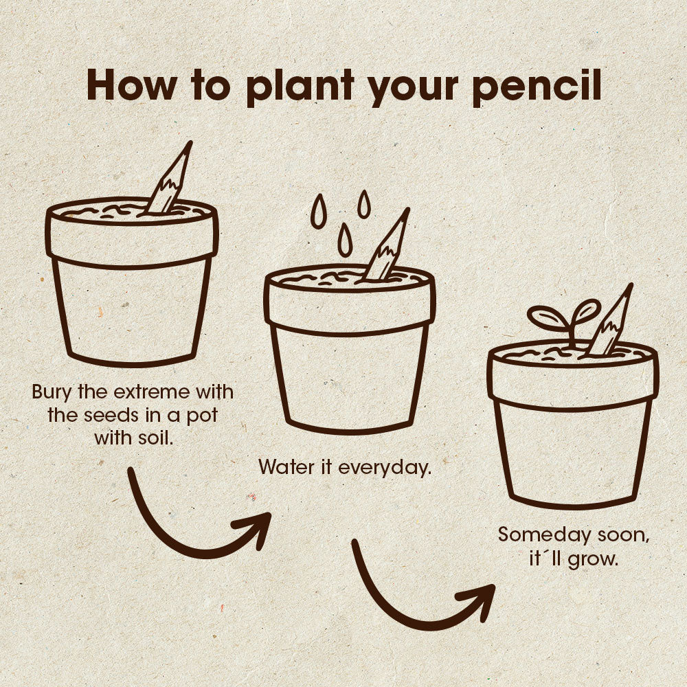 Plantable Pencils - Tomates (Tomatos)