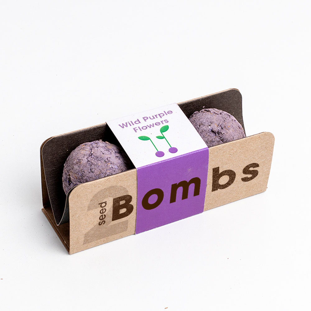 Bombas -  Biodiversity Bombs - Flores Silvestres Moradas (Wild Purple Flowers)