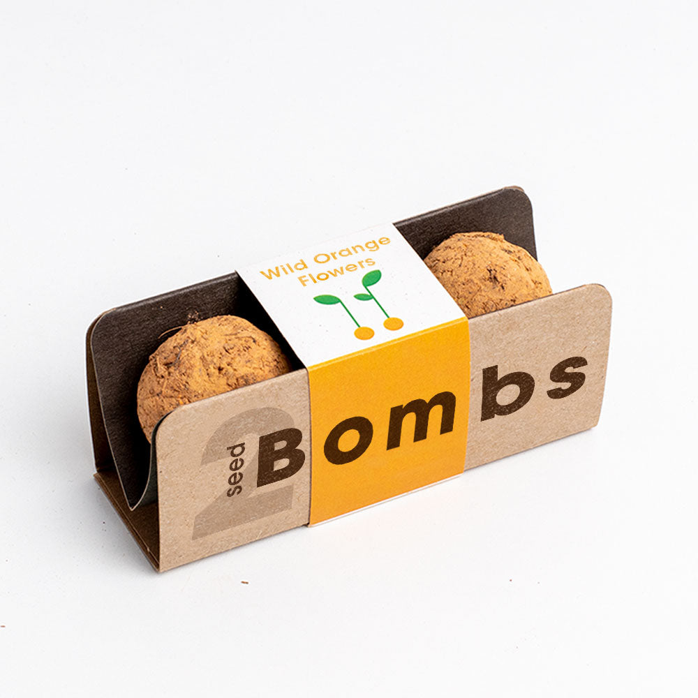 Bombas -  Biodiversity Bombs - Flores Silvestres Naranjas (Wild Orange Flowers)